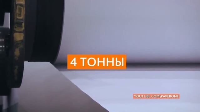 Интересные факты о лесах и деревьях смотреть онлайн