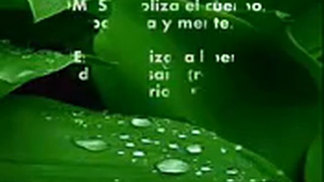 MANTRAS, LOS MÁS BELLOS Om tare tuttare ture soha, deva premal смотреть онлайн