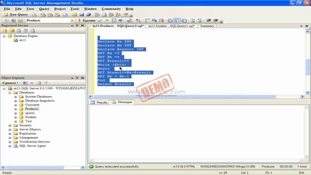 Looping Statements in SQL Server 2005 HD смотреть онлайн