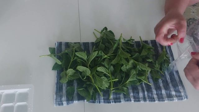 Уборка и эстетика домашнего блеска