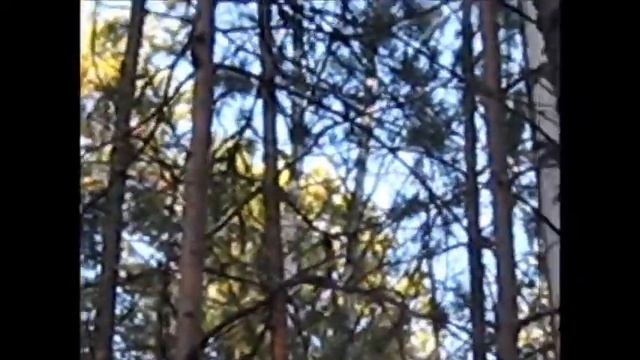Гон у рябчиков смотреть онлайн