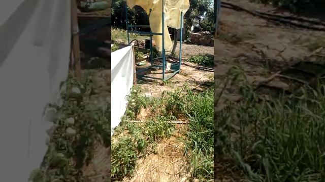 + 41 жарко у нас на даче чп был сильный ветер :((( 29 06 2018 смотреть онлайн