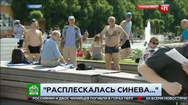 Журналист получил в лицо на день ВДВ смотреть онлайн
