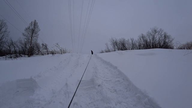 Зачем Шреку лебедка)) где купить под видео! смотреть онлайн