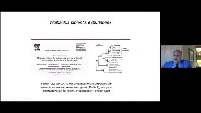 Dirofilaria immitis & Wolbachia - смертельная синергия смотреть онлайн
