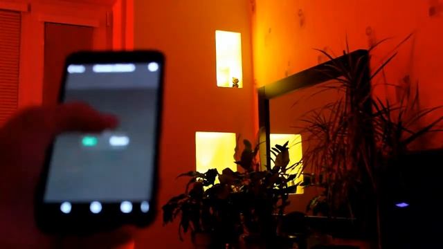 Умный дом у вас в руках Обзор Broadlink RM Pro смотреть онлайн