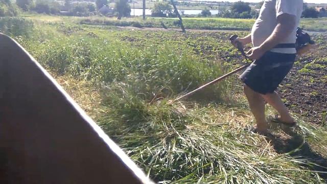 Косим траву (ч.2) смотреть онлайн