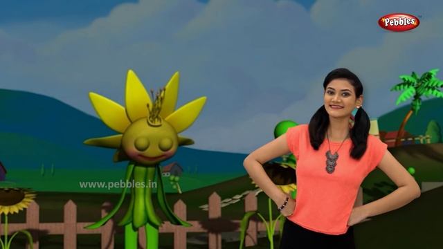 Sunflower Song With Actions | Flower Rhymes For Babies | Learn Flowers For Kids | Toddlers Songs смотреть онлайн