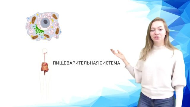 Анастасия (Биология). Тема: строение клетки смотреть онлайн