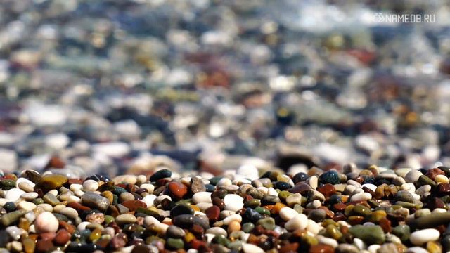 Почему он не хочет жениться: 10 возможных причин смотреть онлайн