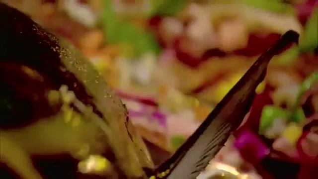 Бора Бора, Французская Полинезия Самые красивые места для отдыха! Лучшие пляжи смотреть онлайн