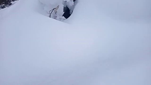 лесные жители спят зимой смотреть онлайн