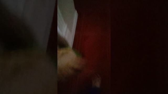 новую квартиру после переезда с прошлой показываю смотреть онлайн