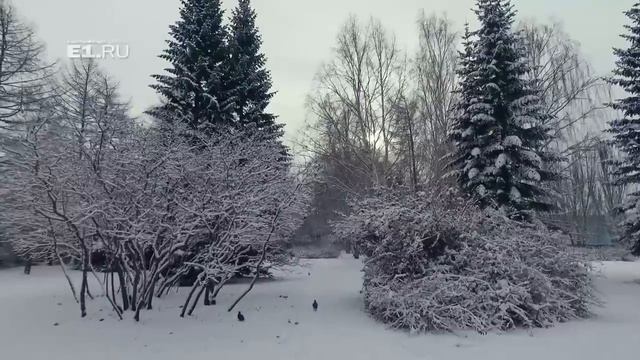 Первый снежный день в Екатеринбурге смотреть онлайн