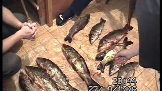 Bor Undur Mongolia 1995 fish смотреть онлайн