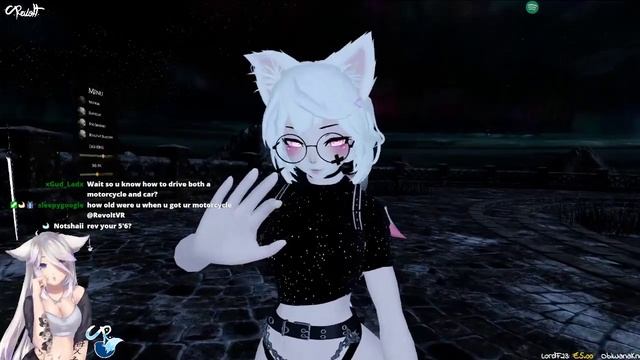 Revolt.exe stopped working смотреть онлайн