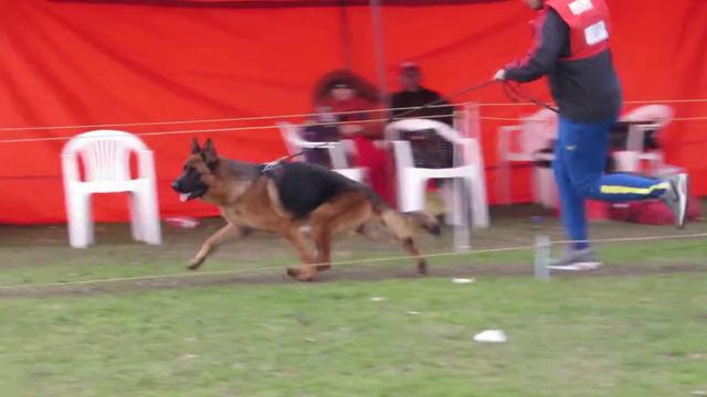 Individual zander Von Der Cole Nueve Alma De Nao смотреть онлайн