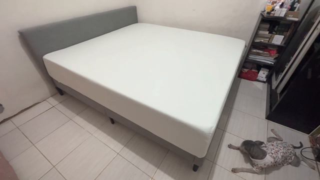 Unboxing & Review Zinus - Kasur Green Tea Memory Foam & Dipan Nelly Scandinavian + Matras Protector смотреть онлайн