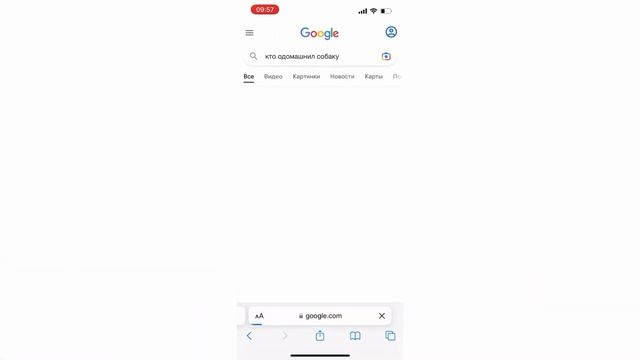 Кто одомашнил собаку ? смотреть онлайн