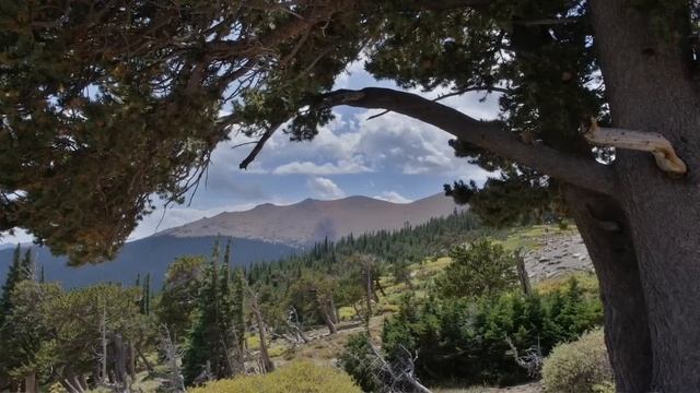PENTAX In-Camera HDR Image Processing (K-7, K-x) смотреть онлайн