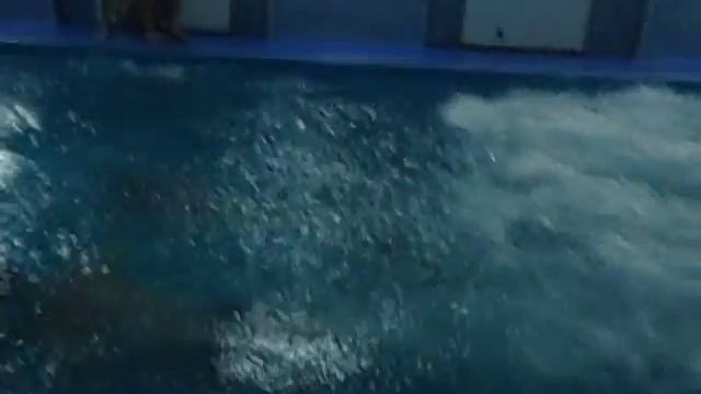 веневский бассейн и сауна смотреть онлайн