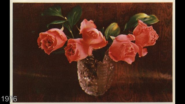 Советские открытки "С Днём рождения!" смотреть онлайн