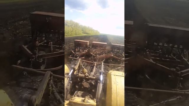 Посевная зерна 2022 на к700А со сцепкой сеялок сзс 2.1