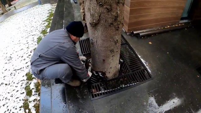 Металлические решетки. Решетки напольные для ограждения пространства вокруг деревьев. смотреть онлайн