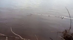 РЫБАЛКА НА РЕКЕ ПЕЧОРА!