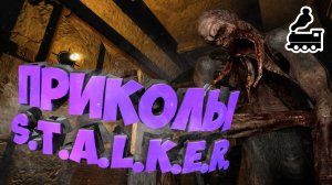 Приколы S.T.A.L.K.E.R. #10