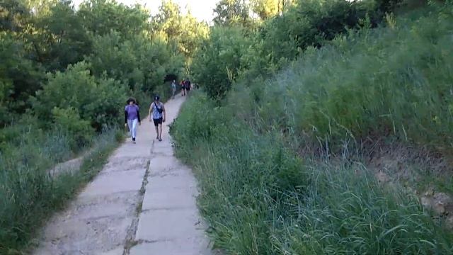 1290, 24.06.2021, город Орёл, прогулка через парк Ботаника к озеру Светлая Жизнь, река Ока, пляж, смотреть онлайн