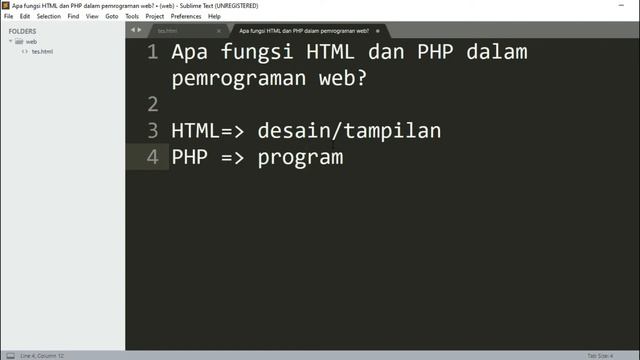 Apa fungsi HTML dan PHP dalam pemrograman web? смотреть онлайн