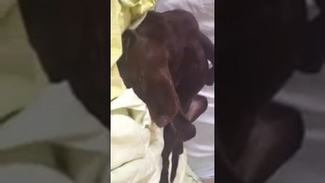 Сладкий сон смотреть онлайн