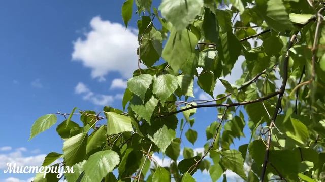 Магнитные бури в АПРЕЛЕ 2023. Неблагоприятные дни. Как пережить. смотреть онлайн