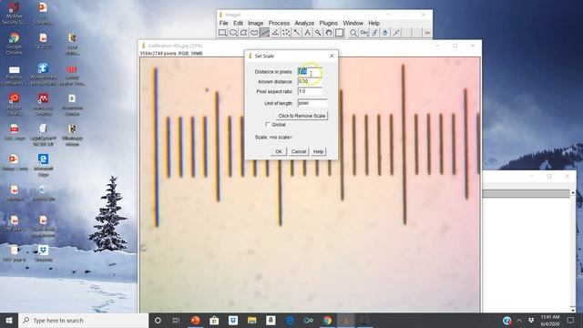 Calibration in ImageJ смотреть онлайн