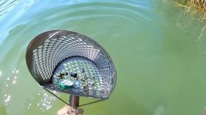 Такое место есть у всех кладоискателей! Поиск под водой с металлоискателем и скупом!