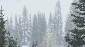 ЗИМА НЕДАРОМ ЗЛИТСЯ