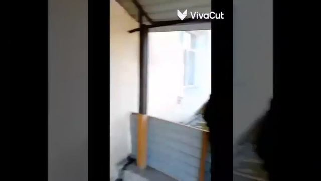 Клип "Глаза не врут–КОРЕШ" смотреть онлайн