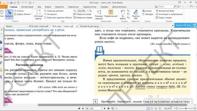 Тема: Зеленый мир (краткая форма прилагательных) смотреть онлайн