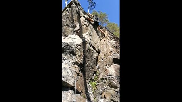 2018 07 Ястребиное видео