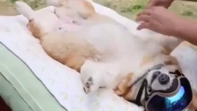 Когда стрижка приносит удовольствие смотреть онлайн