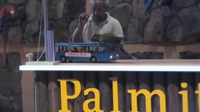 Parrot Show, Palmitos Park... Part 1 смотреть онлайн