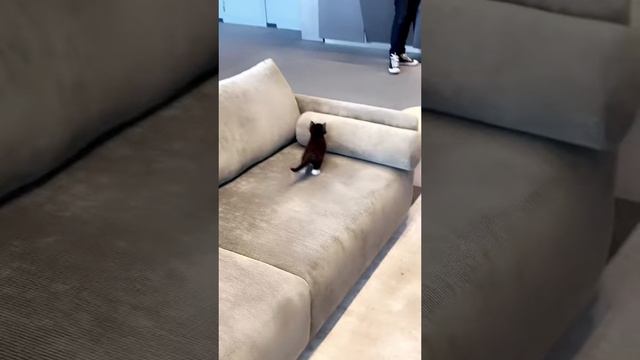 Что-то пошло не так смотреть онлайн