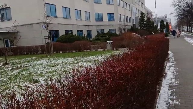 Самый дешёвый вещевой рынок в Варшаве смотреть онлайн