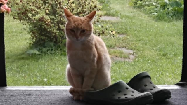 Уличное водоснабжение из колодца. Вторая жизнь старых вещей. смотреть онлайн