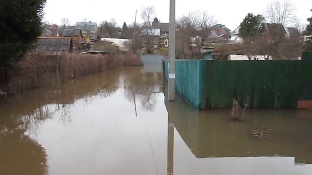 Дачная Венеция ч.2. (01.04.2023) смотреть онлайн
