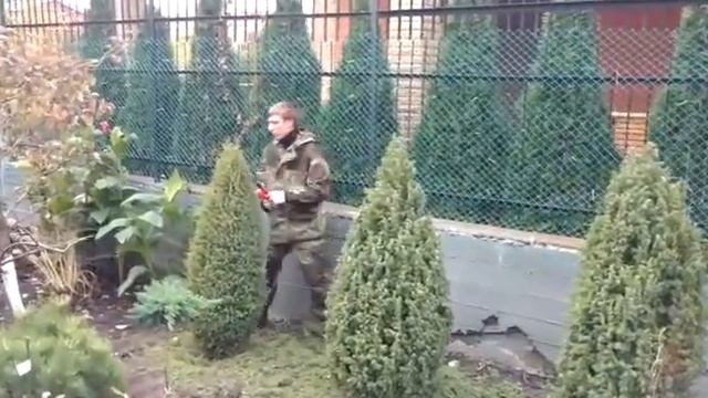 Стрижка деревьев Прикол смотреть онлайн