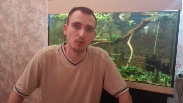 Зиме конец. Начало пчёлосезона 2020. Срочный осмотр семей на наличие мёда смотреть онлайн