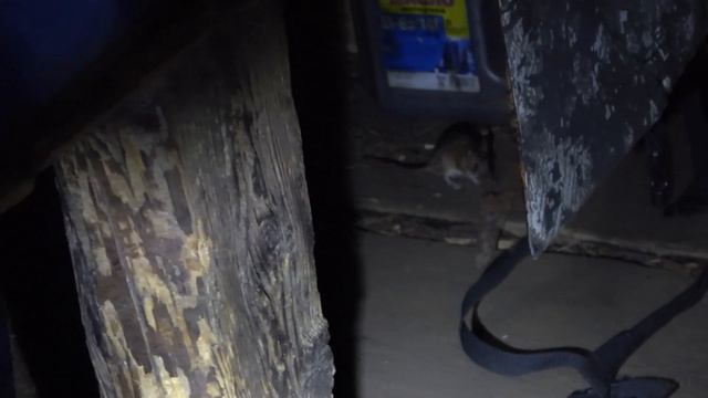 За трофейными ленками. Отпуск в тайге... смотреть онлайн