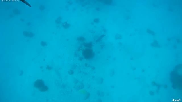 Coup de pêche 9 juillet 2017 смотреть онлайн